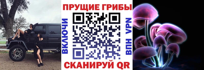 Галлюциногенные грибы мицелий  Белово 