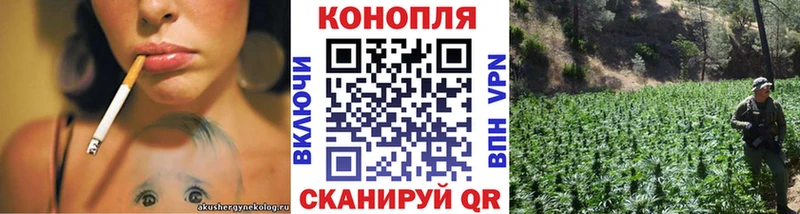купить  цена  Белово  МАРИХУАНА планчик 